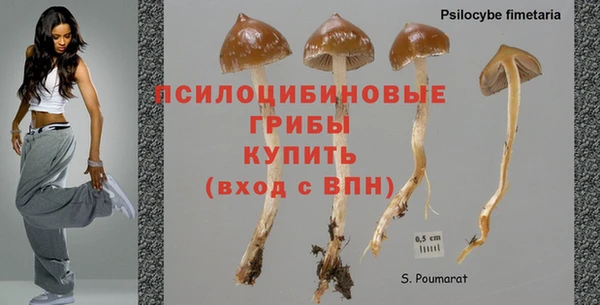 спиды Шадринск