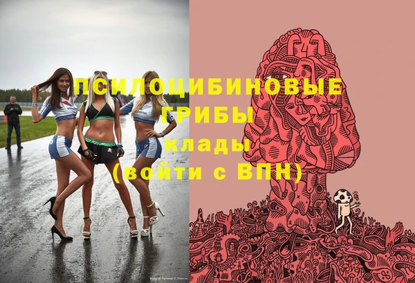 ешки Елабуга