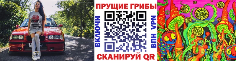 Галлюциногенные грибы прущие грибы Выборг
