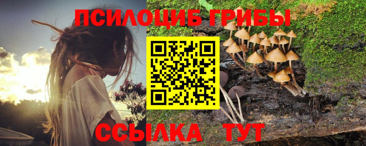 Галлюциногенные грибы MAGIC MUSHROOMS Выборг