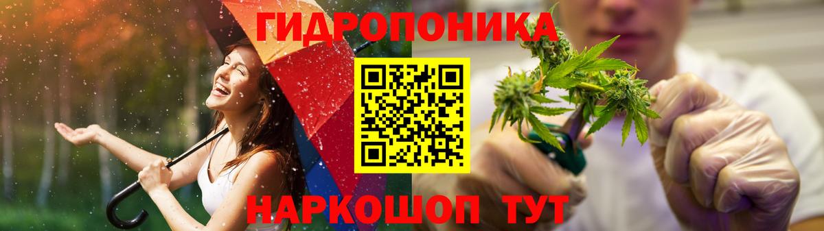 Конопля гибрид Выборг